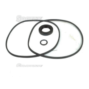 Seal Kit (Hydraulic Pump) | Sparex Part No.S.57972 0.15 kg